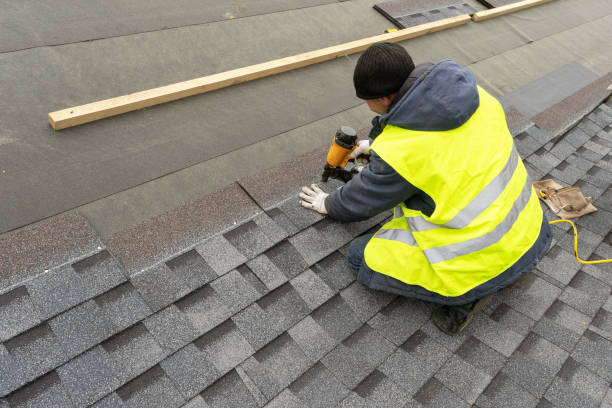 Best Roof Repair Services  in Beechwood, MI