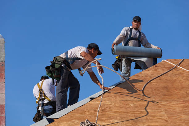 Best Slate Roofing Contractor  in Beechwood, MI