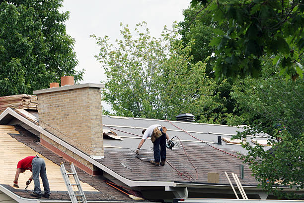 Best Local Roofing Companies  in Beechwood, MI