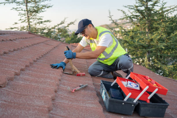Best Emergency Roof Repair  in Beechwood, MI