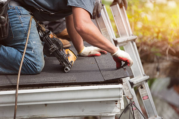 Roof Gutter Cleaning in Beechwood, MI